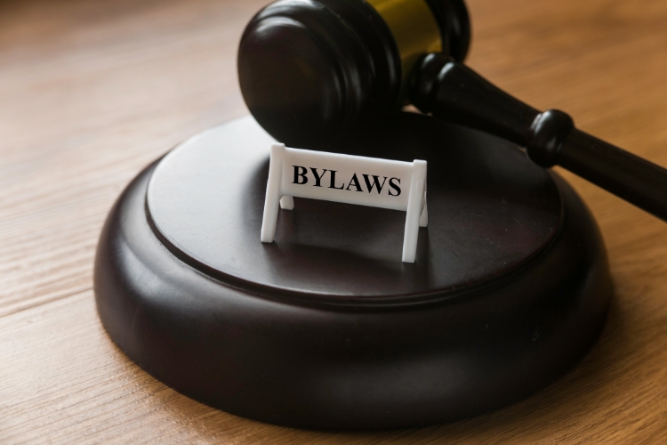 Step 4: Create Corporate Bylaws