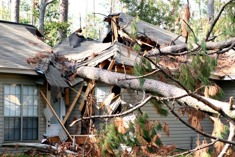 6. Property Damage